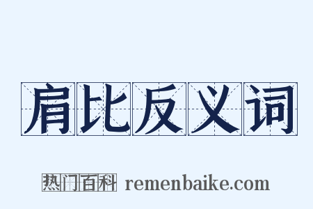 肩比反义词是什么意思的图片